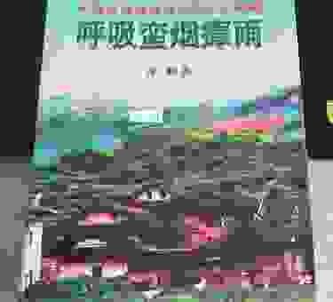 蛮烟瘴雨什么意思怎么用?带你领略这个词背后的意境