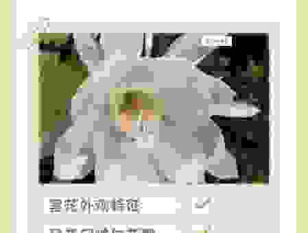 昙花一现的意思和近义词,快速掌握这个词的使用技巧!