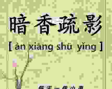 暗香疏影的意思解释，关于这个成语的故事都在这里