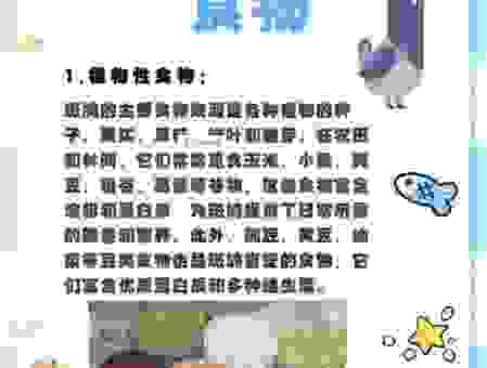 鸟为食亡是什么意思呢？看看这篇解析你就彻底明白了！