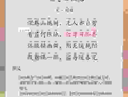 人面桃花是什么意思？探寻这句唯美诗词背后的深意！