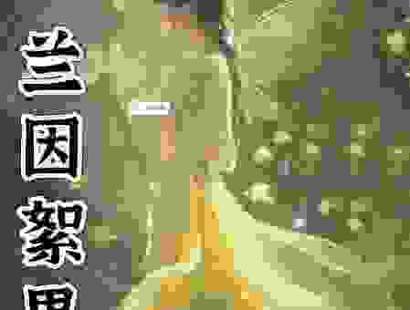 兰因絮果是啥意思?看懂的人都感叹感情起落的唏嘘!