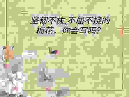 坚韧不拔的意思是什么?分享几个让你通俗易懂的解释!
