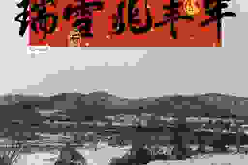 瑞雪的意思是什么?一篇文章带你了解瑞雪的含义