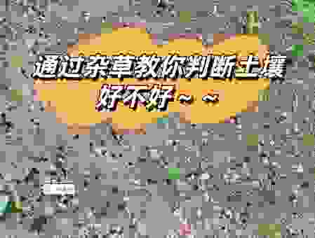 通过肥沃的意思看土地质量,教你如何辨别土地肥力
