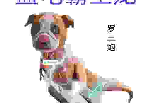 三炮什么意思?看完这篇文章你就彻底明白了!