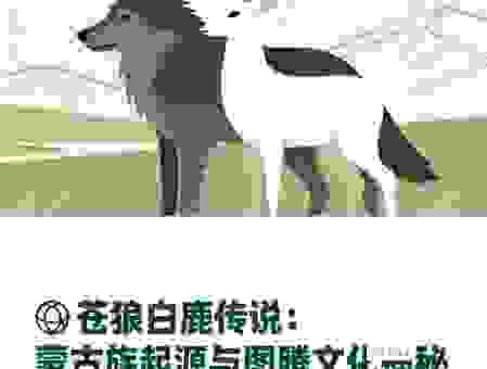 网络用语苍狼是什么意思？快来看看背后的真正含义