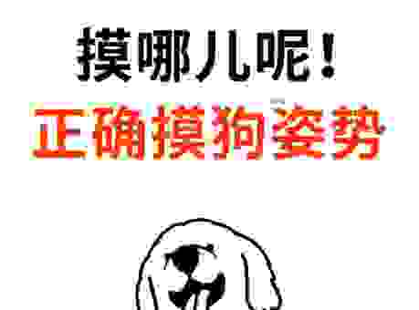 偷偷模模的是什么意思?一篇文章教你正确使用它