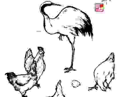 鹤立鸡群的意思是什么?用大白话给你讲透这个成语。