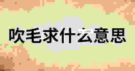 吹毛求疵什么意思怎么用?生活中遇到这种人该怎么办