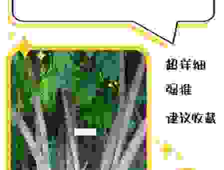 移花接木是什么意思?白话文通俗易懂的详细解释!