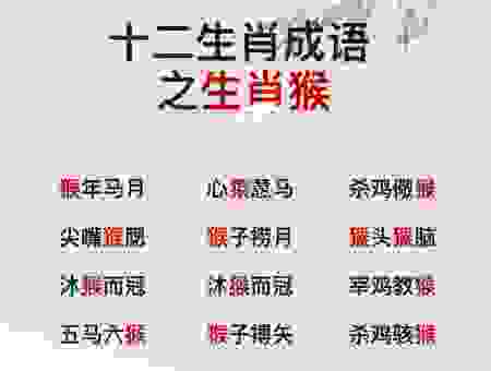 公而忘私什么意思是什么生肖?揭秘成语背后的深层含义!